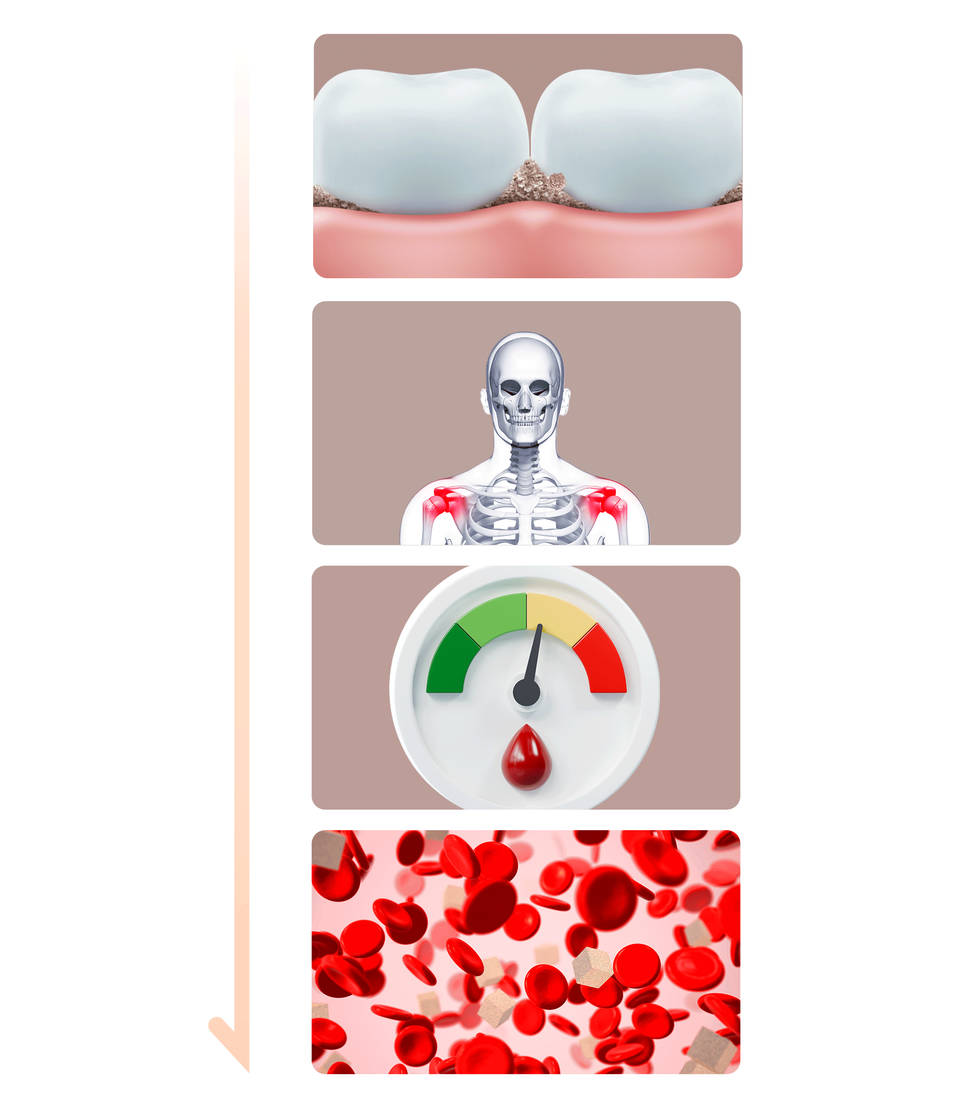 치주염이 다시 당뇨를 악화시키는 악순환을 표현한 인포그래픽