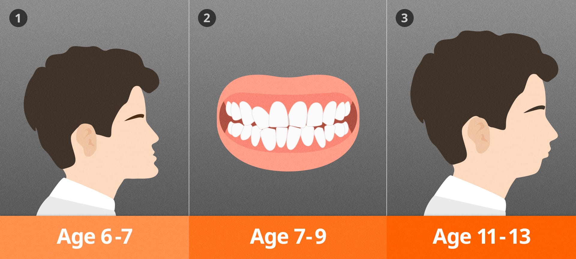 성장기 아동의 교정 검진 시기를 시기적으로 표현한 일러스트