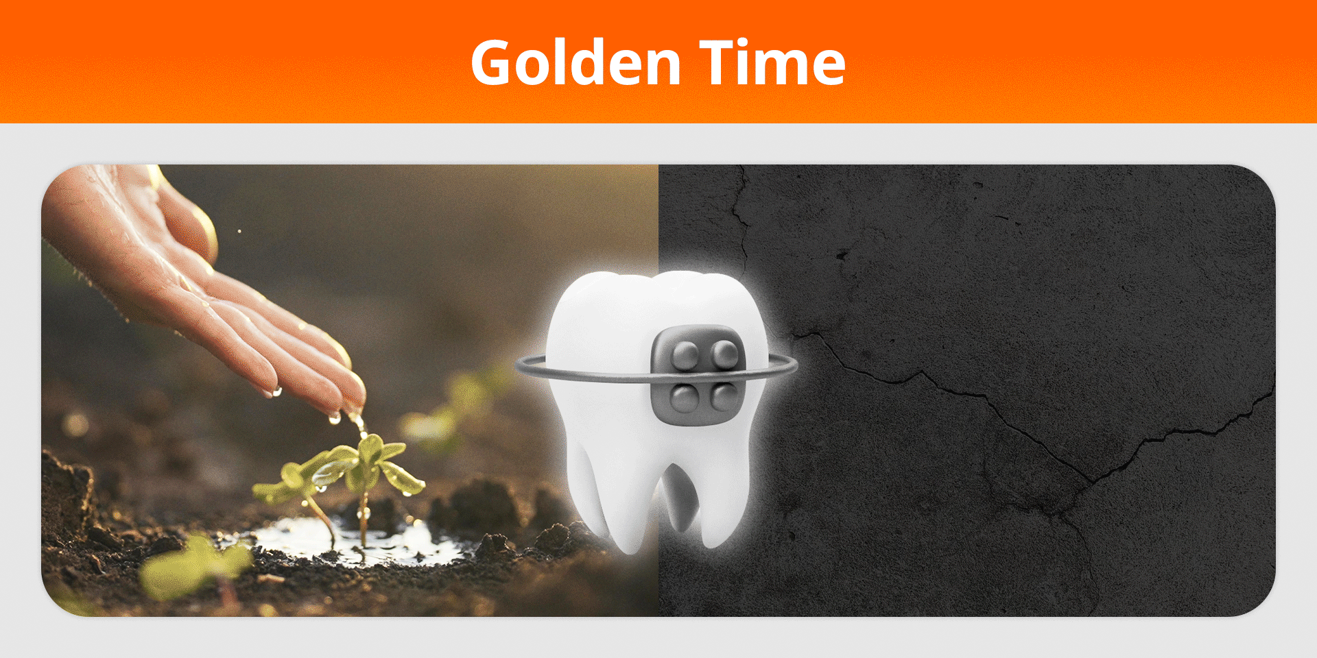 성장기 교정과 성인교정의 골든타임을 비유적으로 표현한 이미지