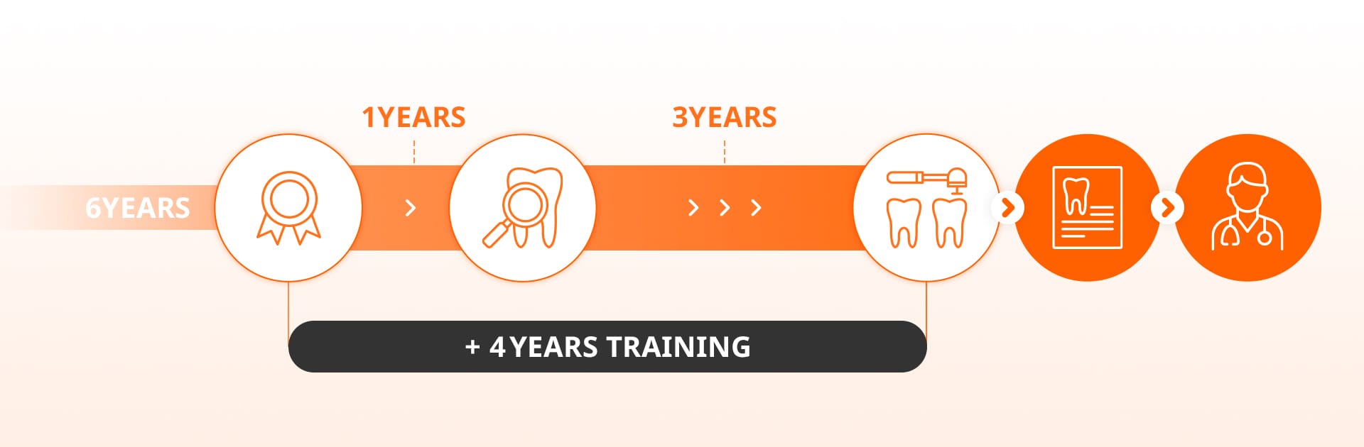 치의학과 6년 학사 후 4년간의 인턴/레지던트 집중 수련 및 국가 전문의 시험을 통해 최종적으로 전문의 자격을 취득하는 과정을 보여주는 타임라인