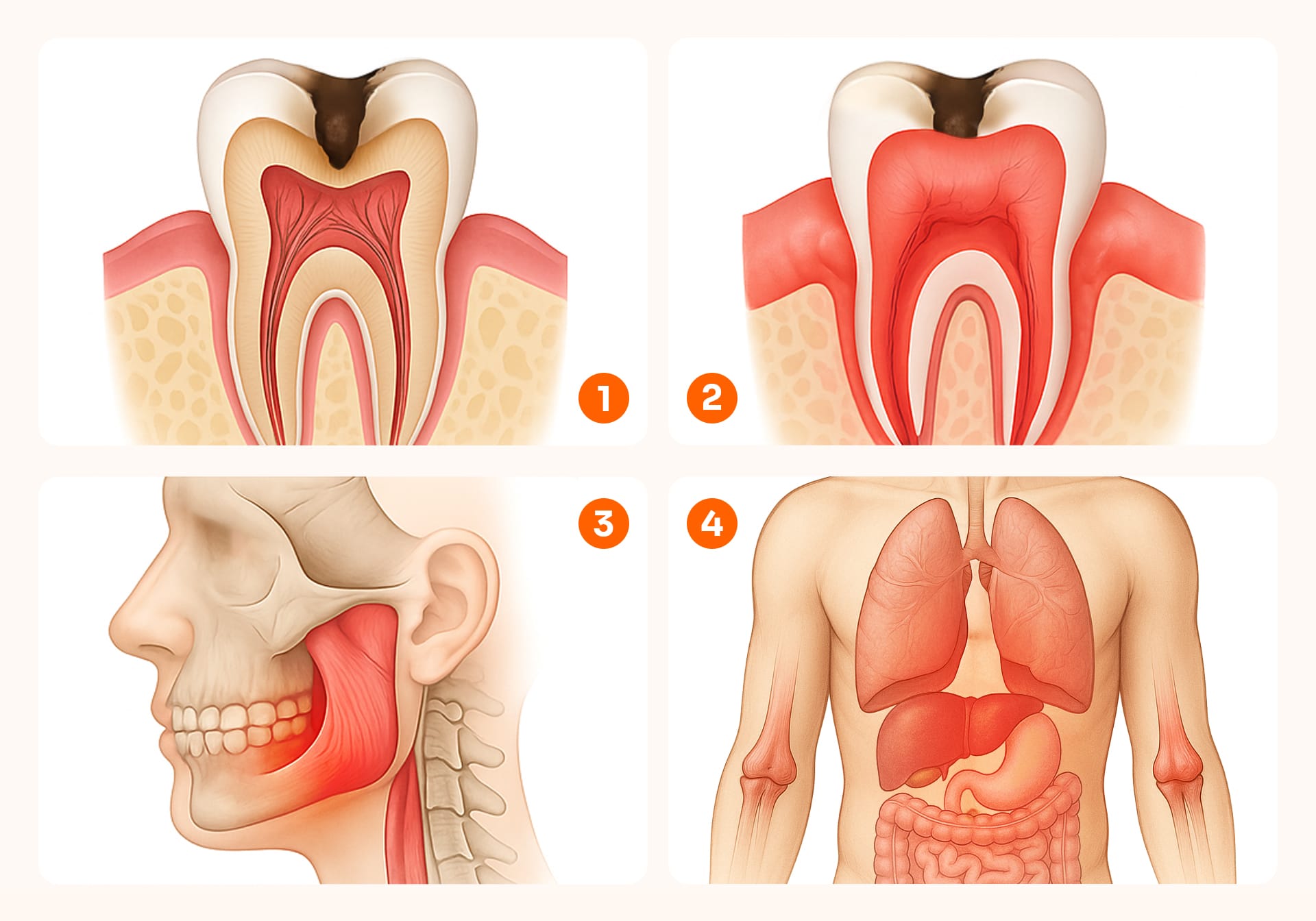 Infographic showing the progression of dental issues when neglected: from decay and inflammation to TMJ and systemic health deterioration